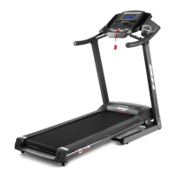 Беговая дорожка BH FITNESS PIONEER R2 